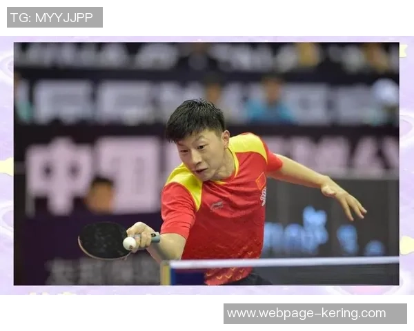 从零基础到高手之路乒乓球个人能力全面提升指南 从零基础到高手之路乒乓球个人能力全面提升指南