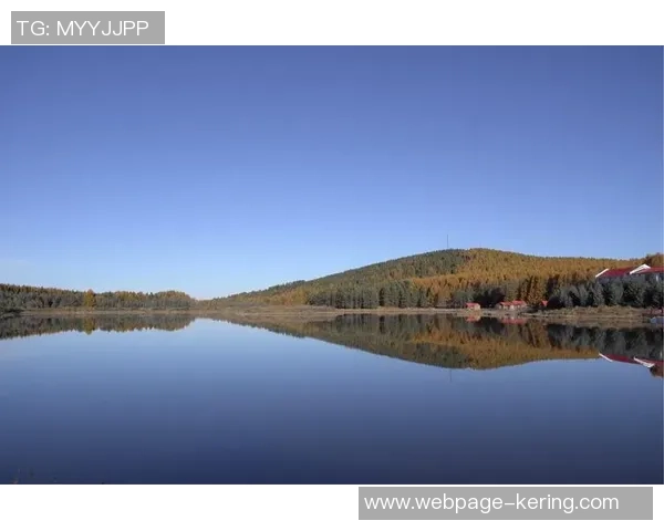 加莱诺的艺术之旅探寻与创新融合的无限可能 加莱诺的艺术之旅探寻与创新融合的无限可能